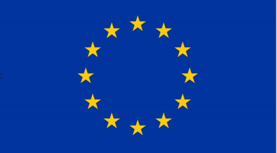 EU-Wahlen Informationsveranstaltung