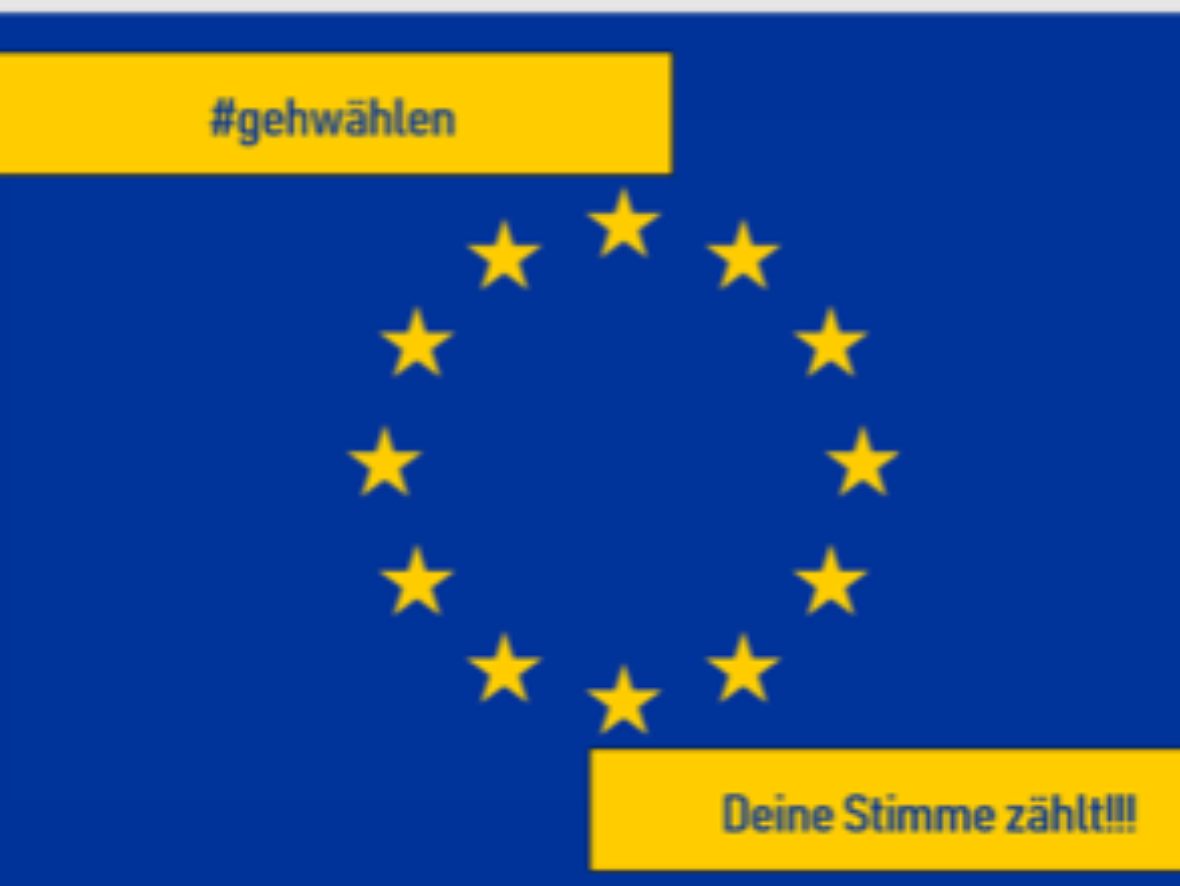EU-Wahlen Informationsveranstaltung