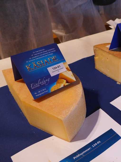 Foto eines Stückes Käse