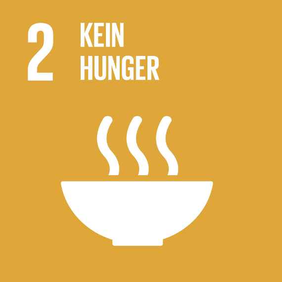 Sustainable Development Goal 2 UNO 17 Ziele für nachhaltige Entwicklung