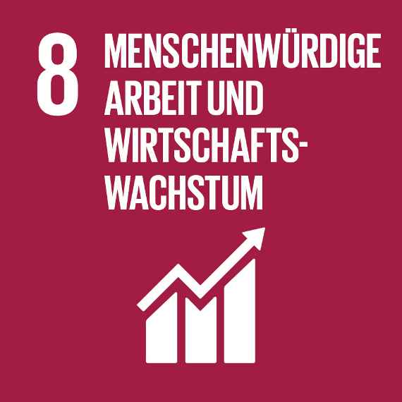 Sustainable Development Goal 8 UNO 17 Ziele für nachhaltige Entwicklung