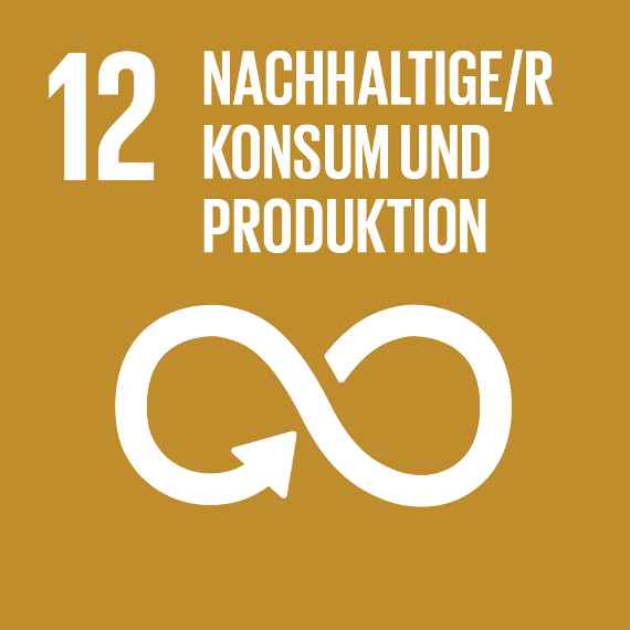 Sustainable Development Goal 12 UNO 17 Ziele für nachhaltige Entwicklung