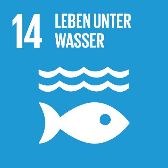 Sustainable Development Goal 14 UNO 17 Ziele für nachhaltige Entwicklung