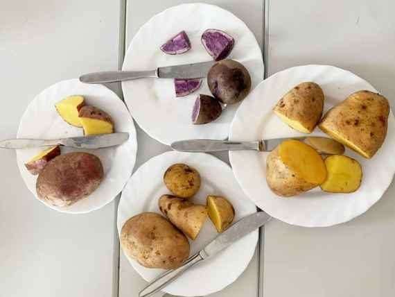 Alles Wissenswerte über Kartoffeln - Projekt von Ing.in Monika Schreiner