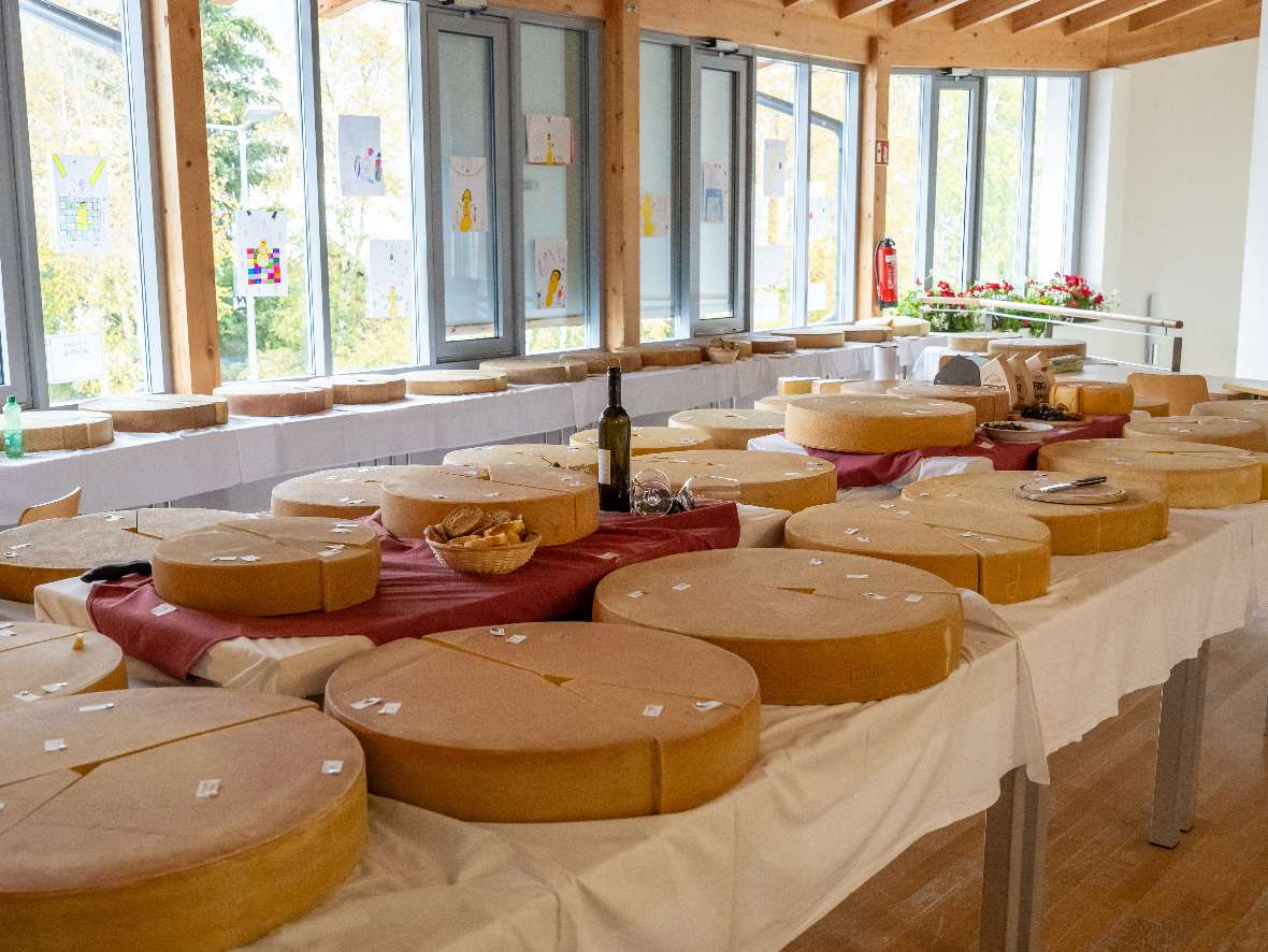 Käse soweit das Auge reicht, Bernhard Gruber