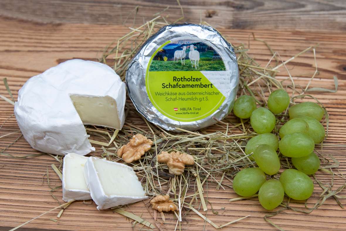 Schafcamembert