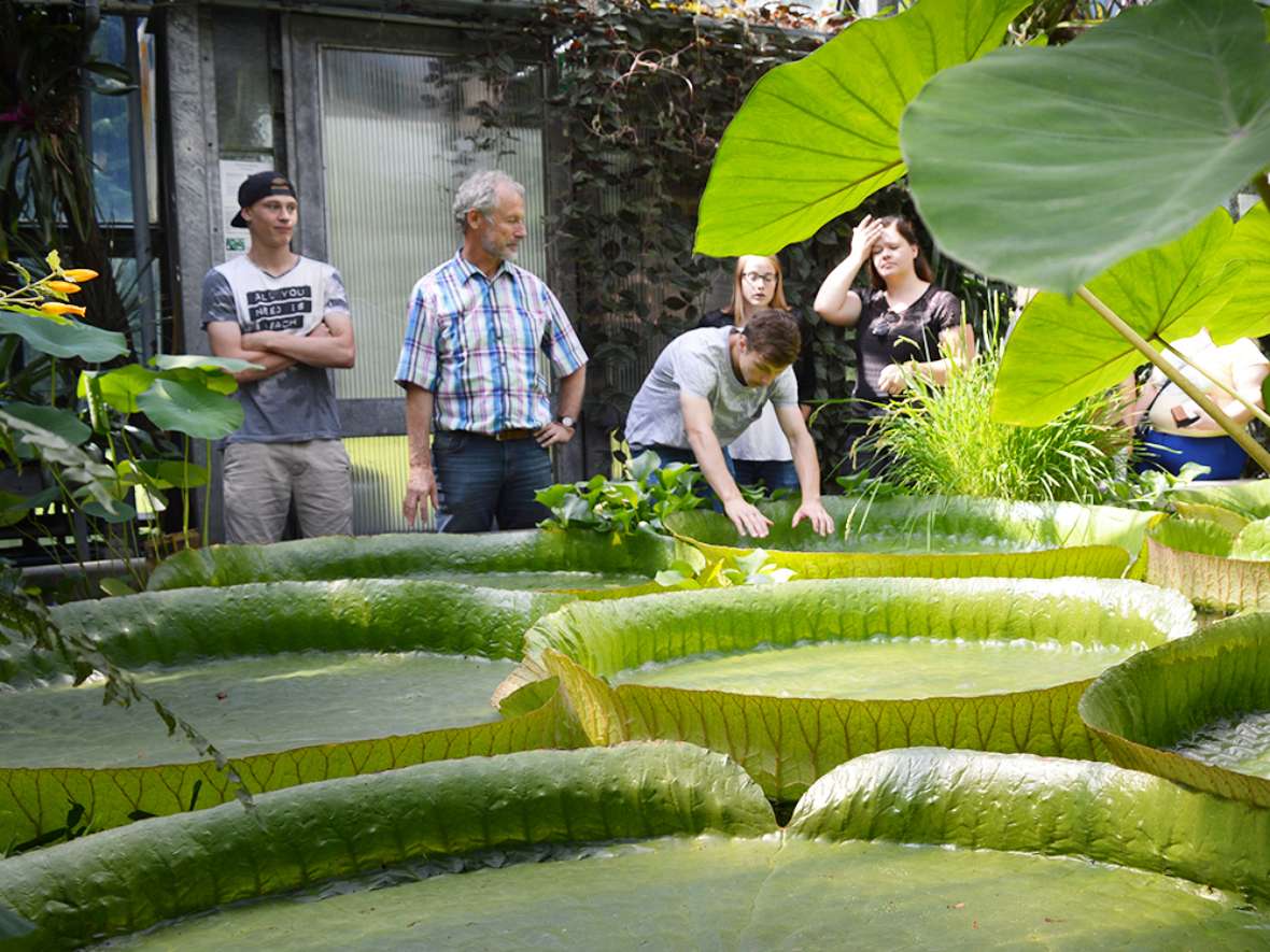 Exkursionen z.B. zum Hofgarten im Fach Angewandte Biologie und Ökologie an der HBLFA Tirol