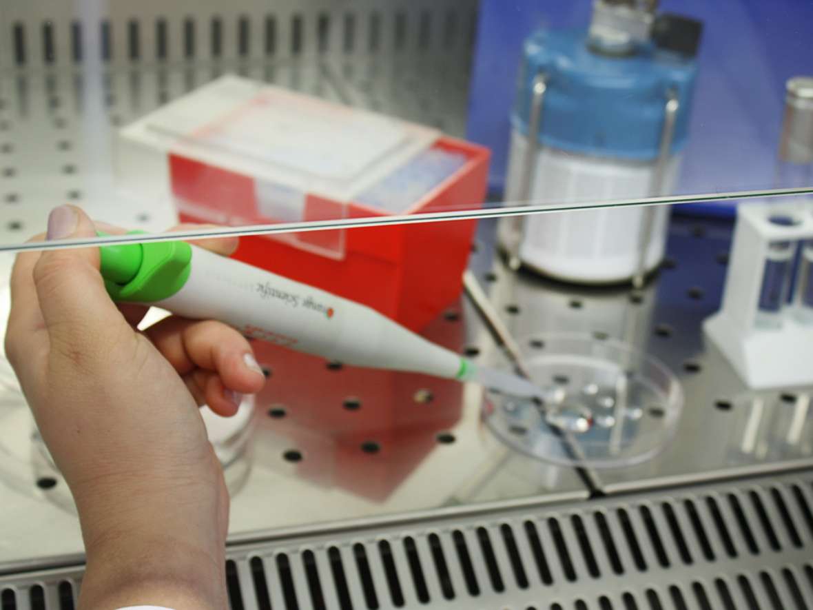 Mikrobiologisches Laboratorium an der HBLFA Tirol Chemische Experimente