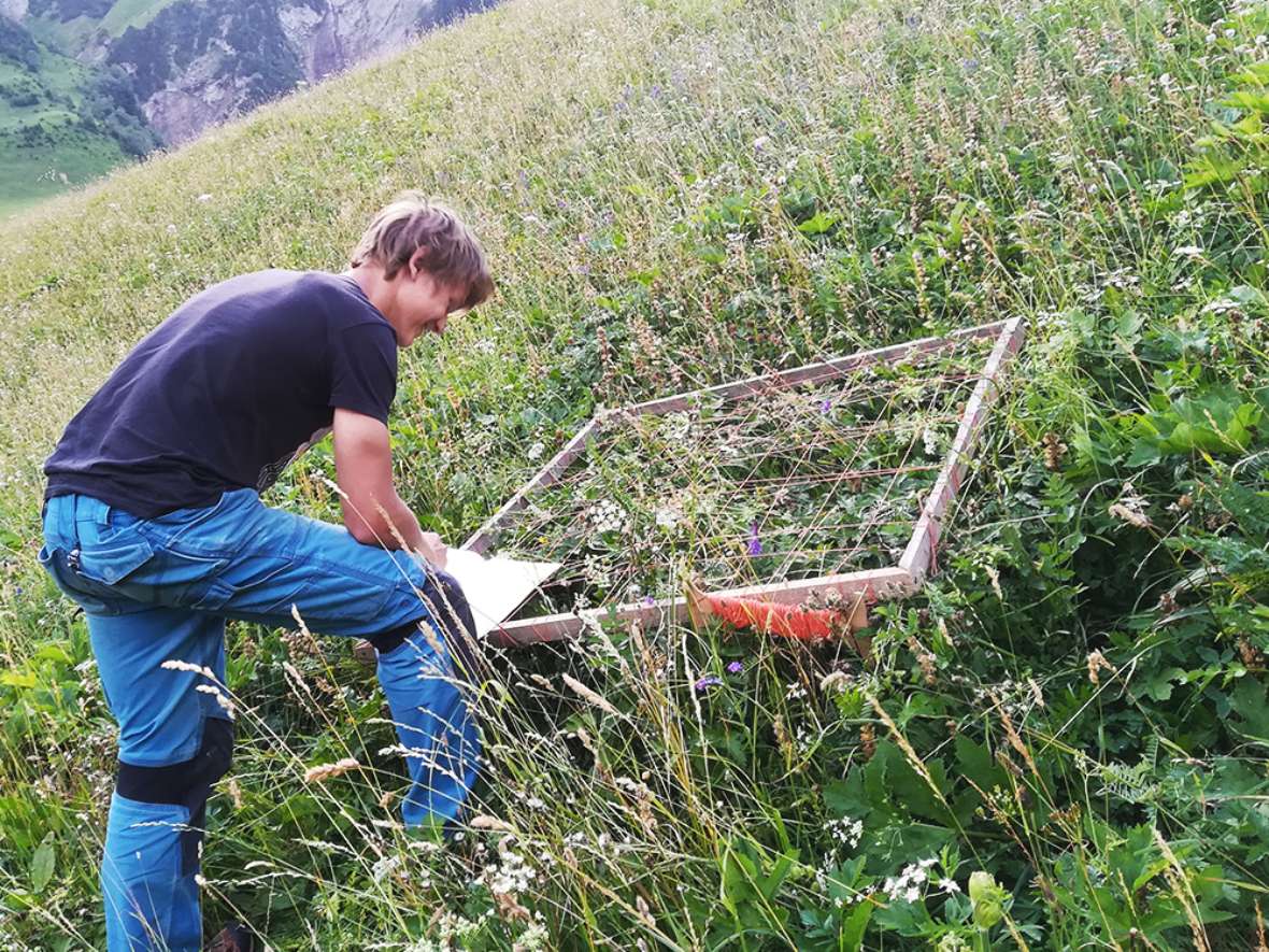 Fabian Lorenz beim Bestimmen des Pflanzenbestands für die Grundfutterbereitung