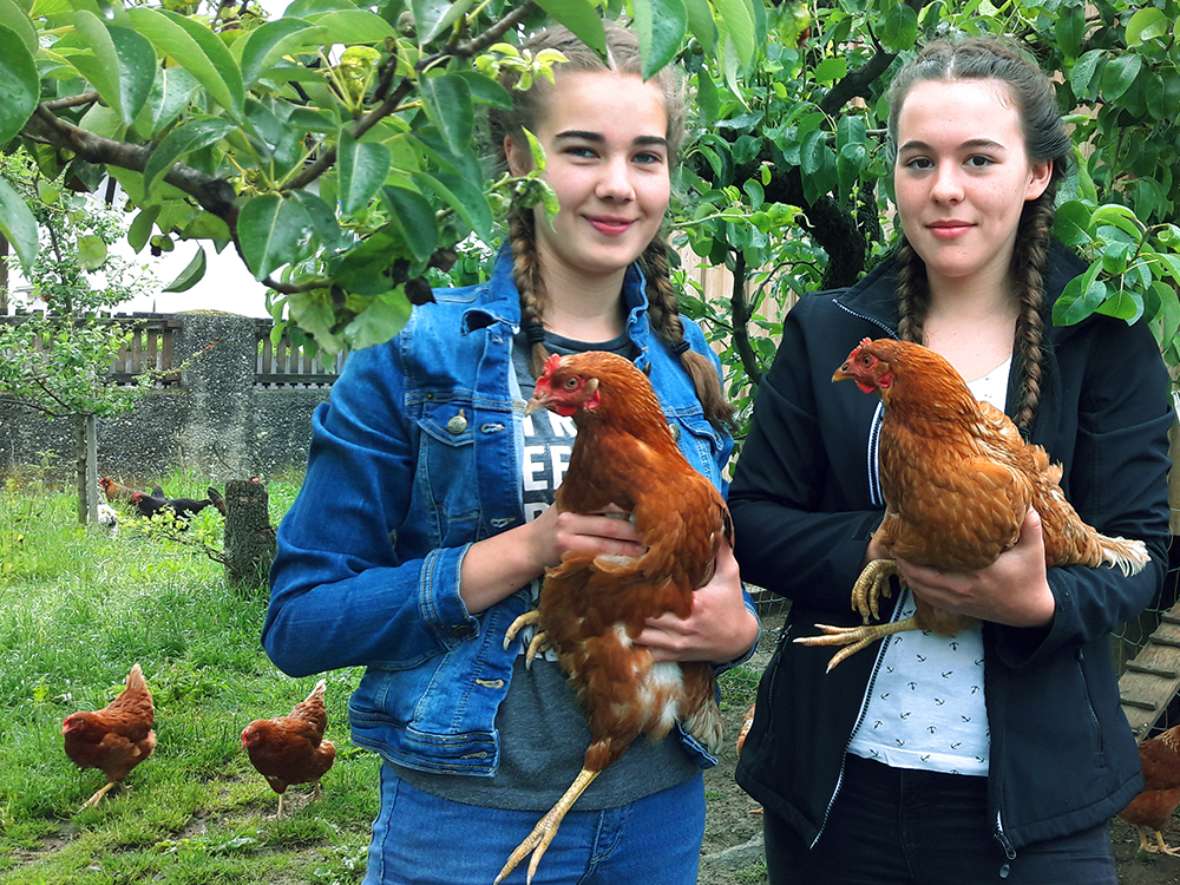 Hühnerhaltung Nutztierhaltung an der HBLFA Tirol