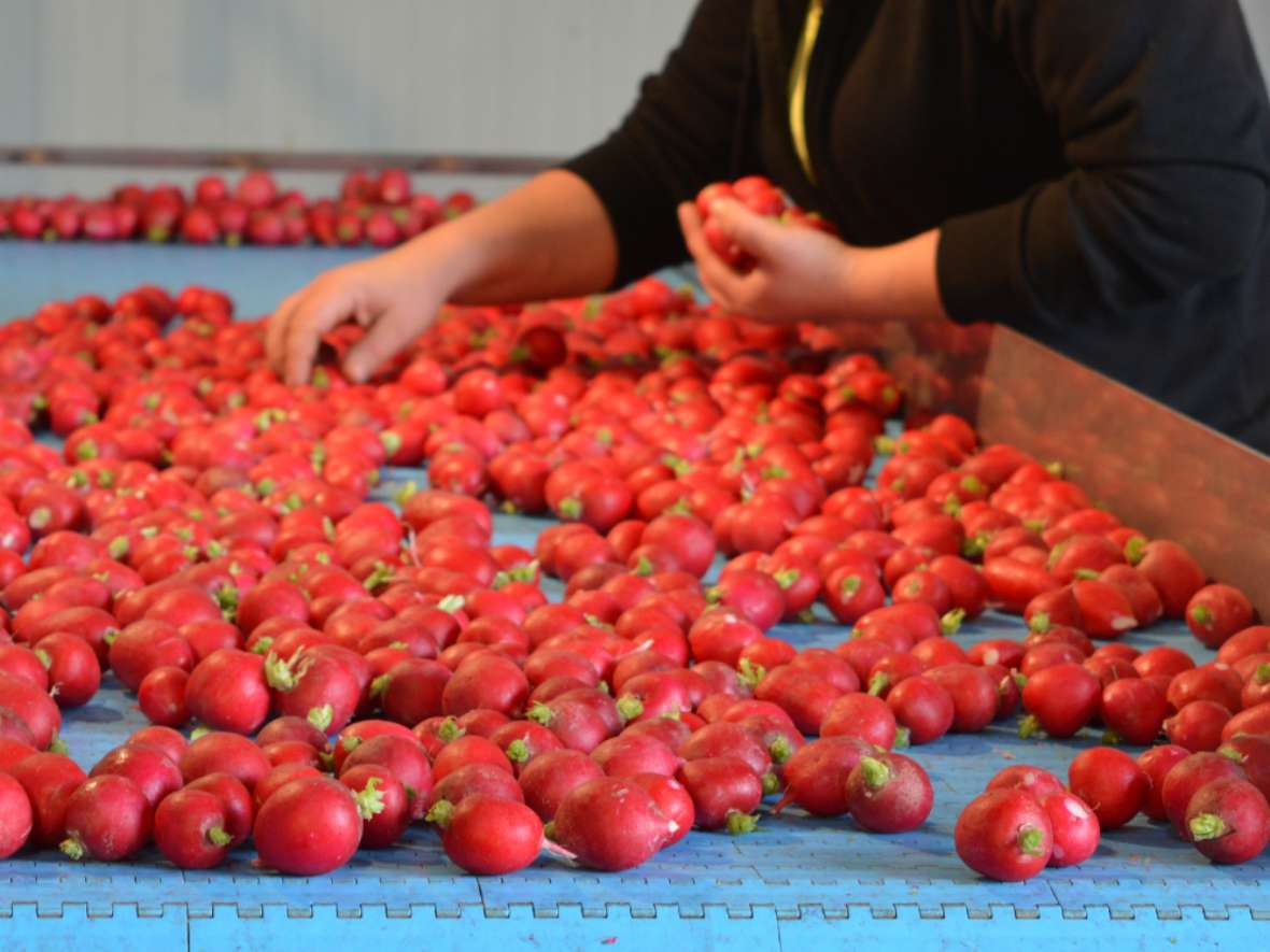 Landwirtschaftliche Produktion an der HBLFA Tirol