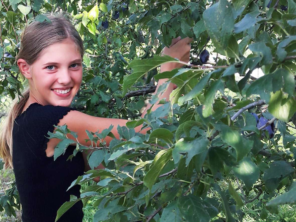 Praktischer Unterricht im Garten der HBLFA Tirol Obstbau Gemüsebau Baumschnitt Hochbeete