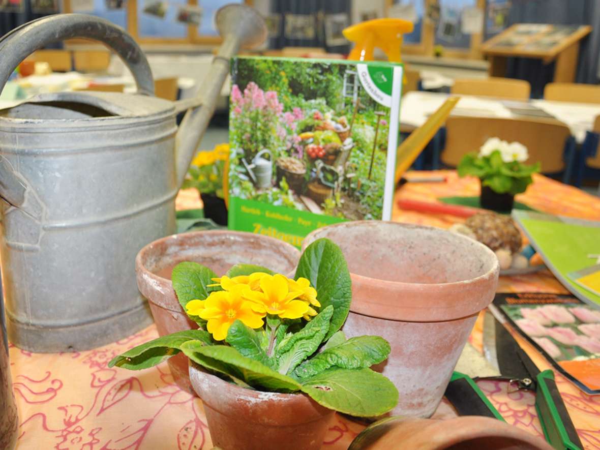 Praktischer Unterricht im Garten der HBLFA Tirol Obstbau Gemüsebau Baumschnitt Hochbeete