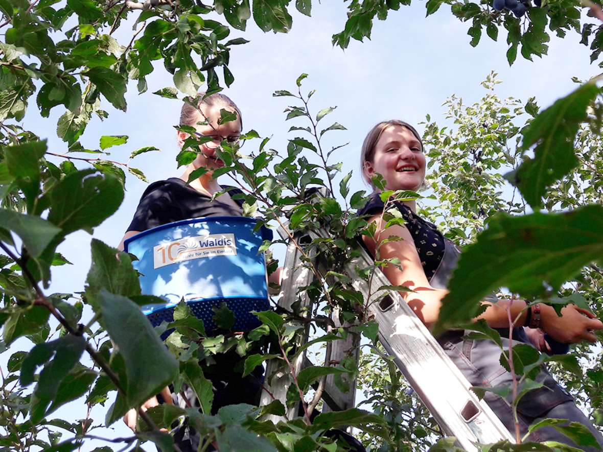 Praktischer Unterricht im Garten der HBLFA Tirol Obstbau Gemüsebau Baumschnitt Hochbeete