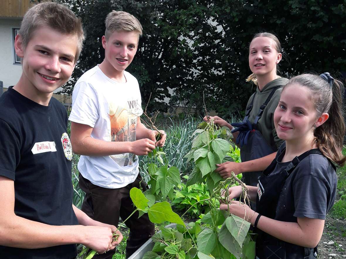 Praktischer Unterricht im Garten der HBLFA Tirol Obstbau Gemüsebau Baumschnitt Hochbeete