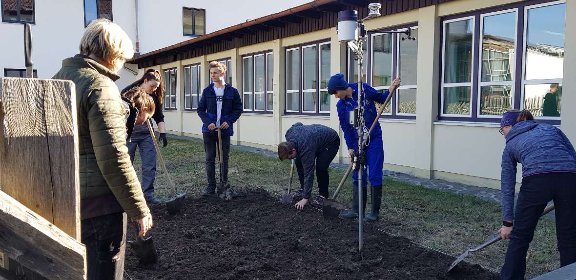 Vorbereitungsarbeiten für den Blühstreifen