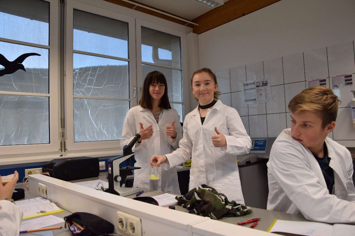 DNA-Isolation einer Tomate