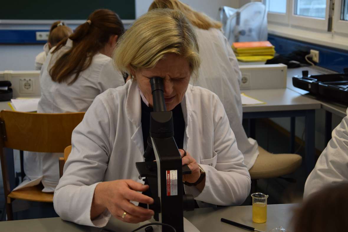 DNA-Isolation einer Tomate