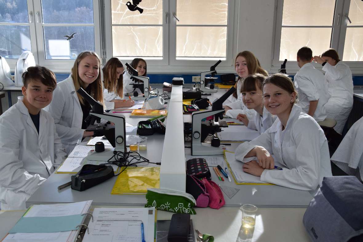 DNA-Isolation einer Tomate