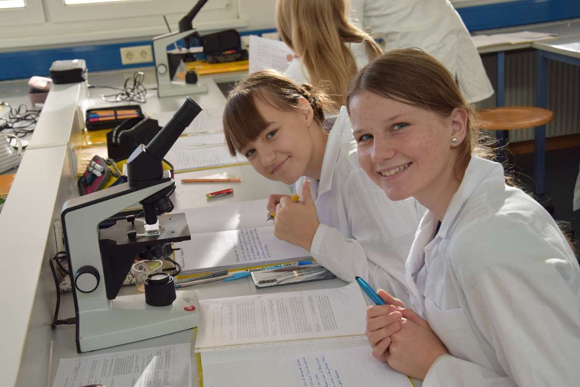 DNA-Isolation einer Tomate