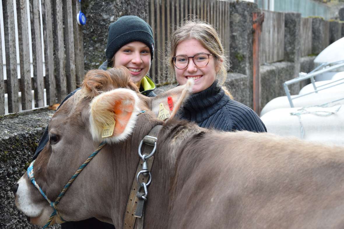 Exterieurbeurteilung
