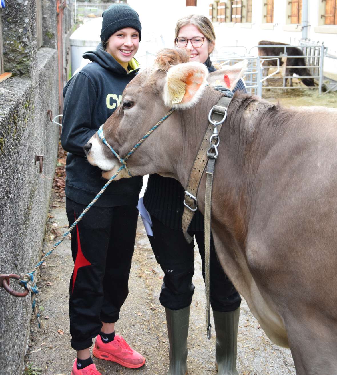 Exterieurbeurteilung