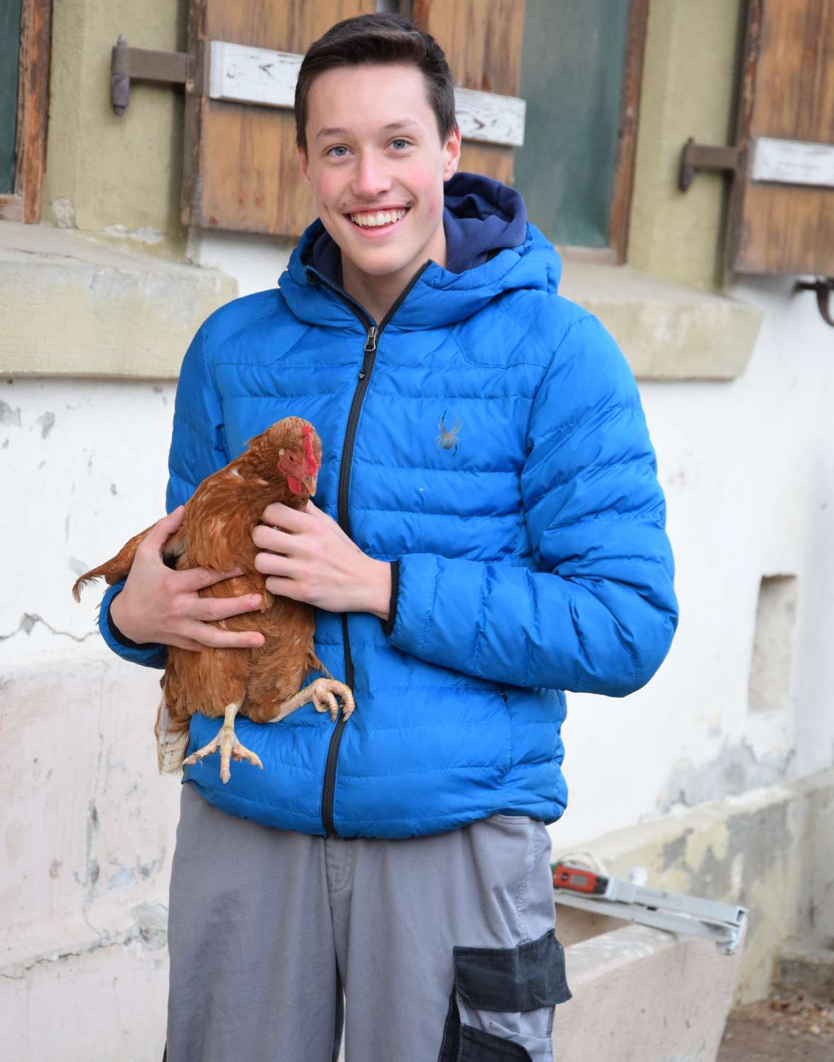 Exterieurbeurteilung