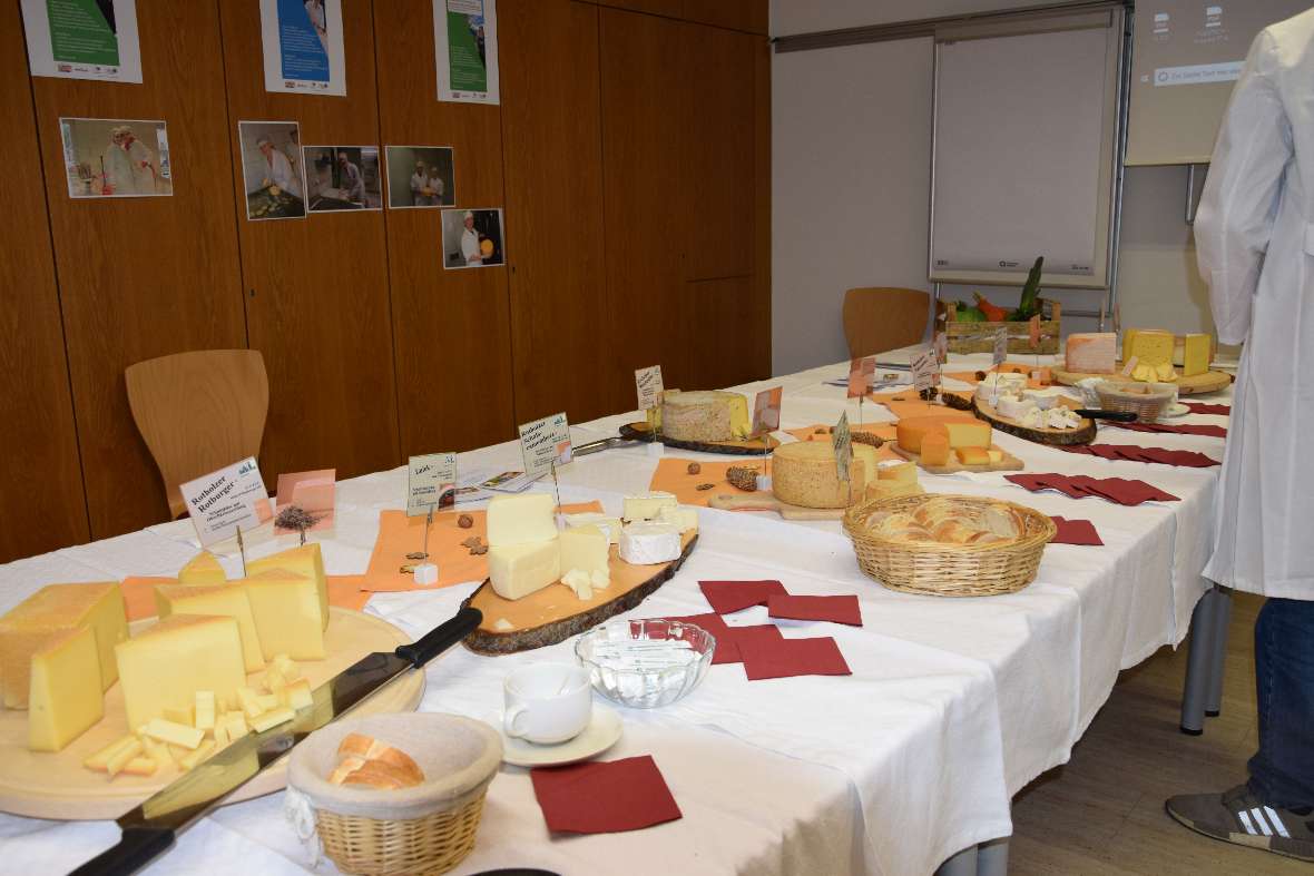 Käseverkostung 