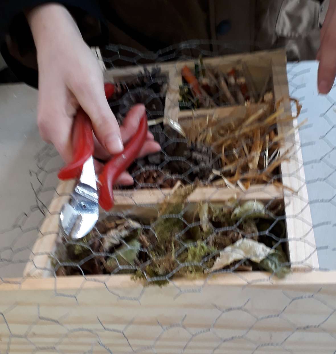 Bauen von Zützlingsunterkünften