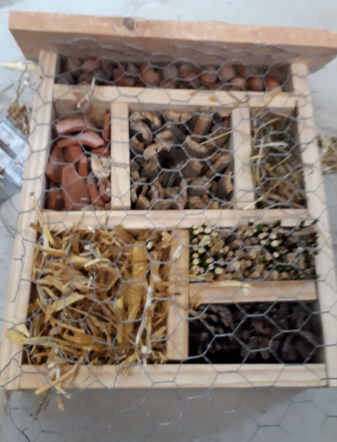 Bauen von Zützlingsunterkünften