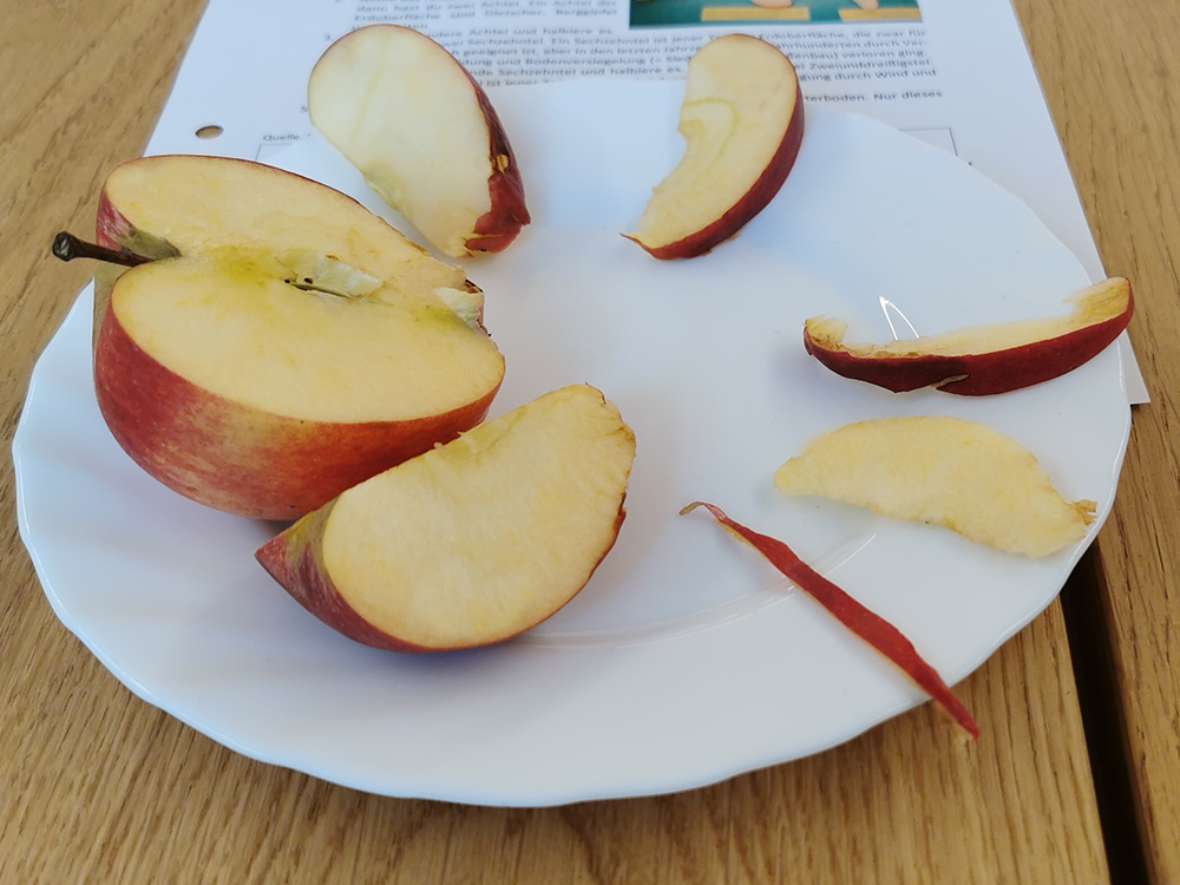 Apfel als Symbol für landwirtschaftlich-nutzbare Fläche