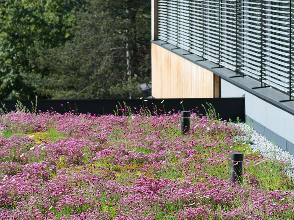 HBLFA Tirol - Energieeffizienz und moderne Architektur