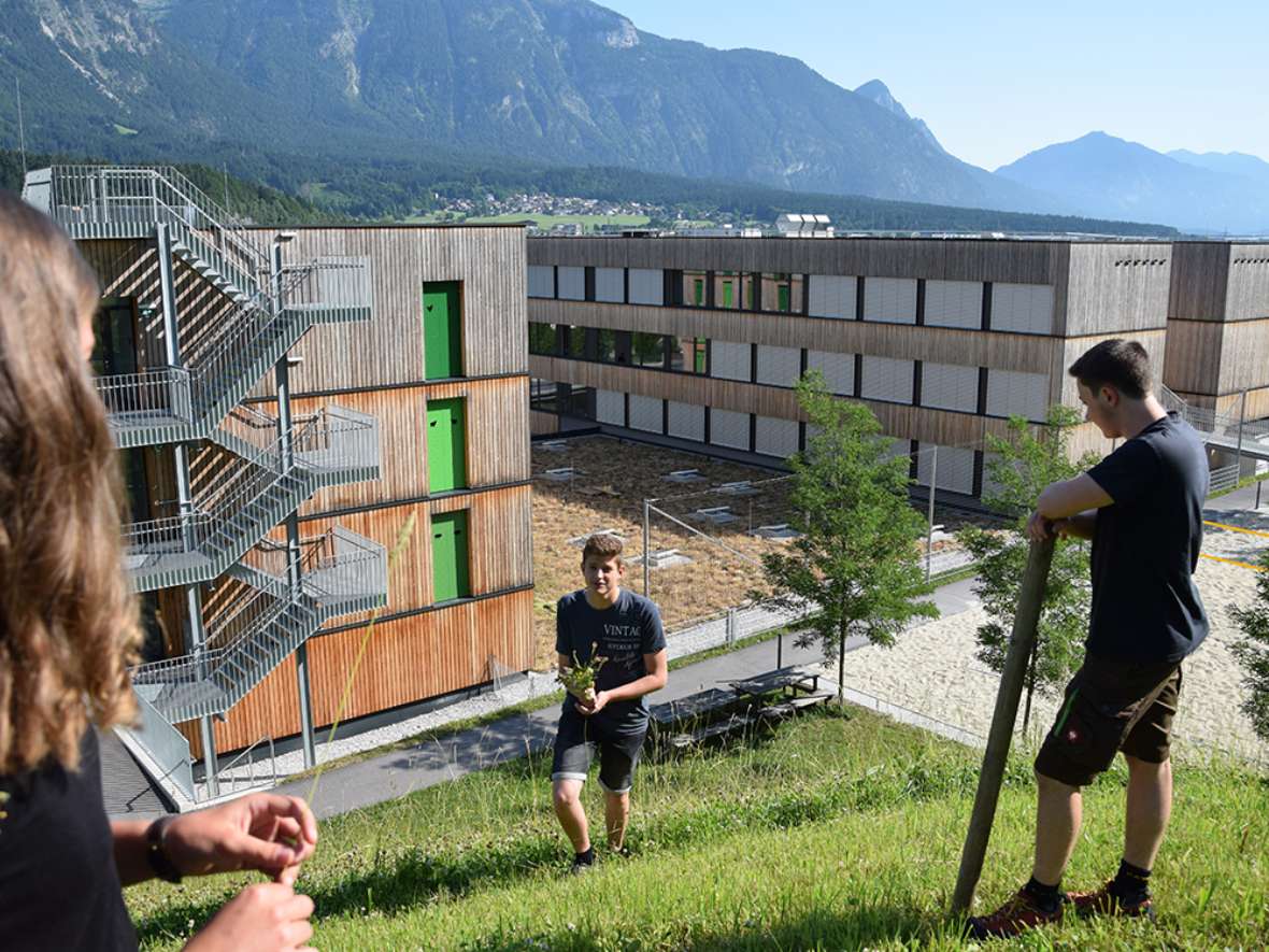 HBLFA Tirol - Energieeffizienz und moderne Architektur