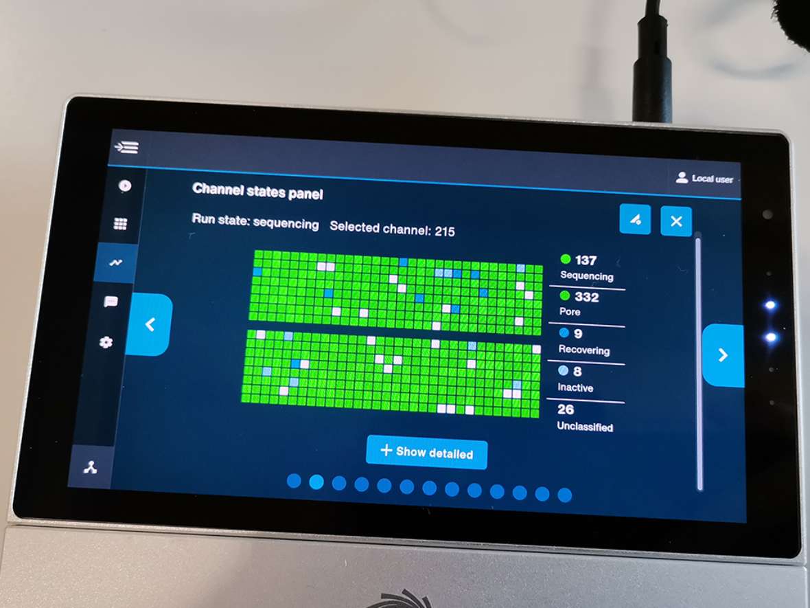 Output der Sequenzierung mit dem MinION