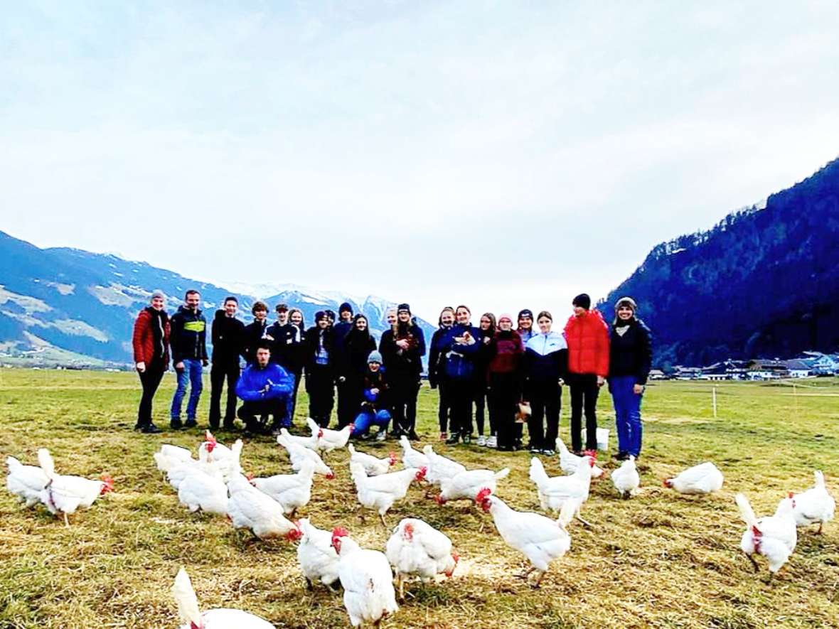 Exkursion zur Familie Kaltenhauser, Strass